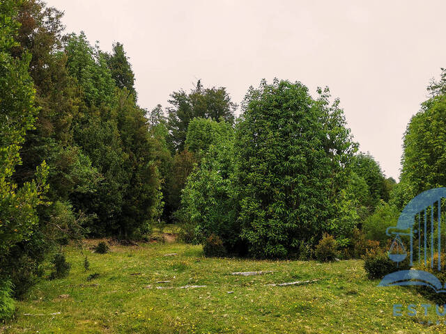 #4 - Área para Venta en Puerto Varas - X - 3