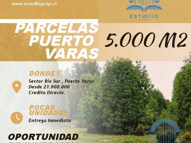 #4 - Área para Venta en Puerto Varas - X - 2