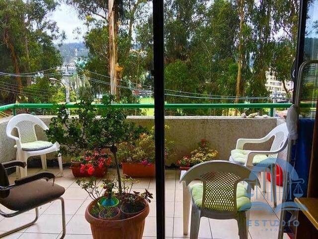 Amplea terraza