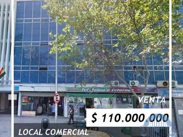 #43 - Piso Comercial para Venta en Santiago - XIII